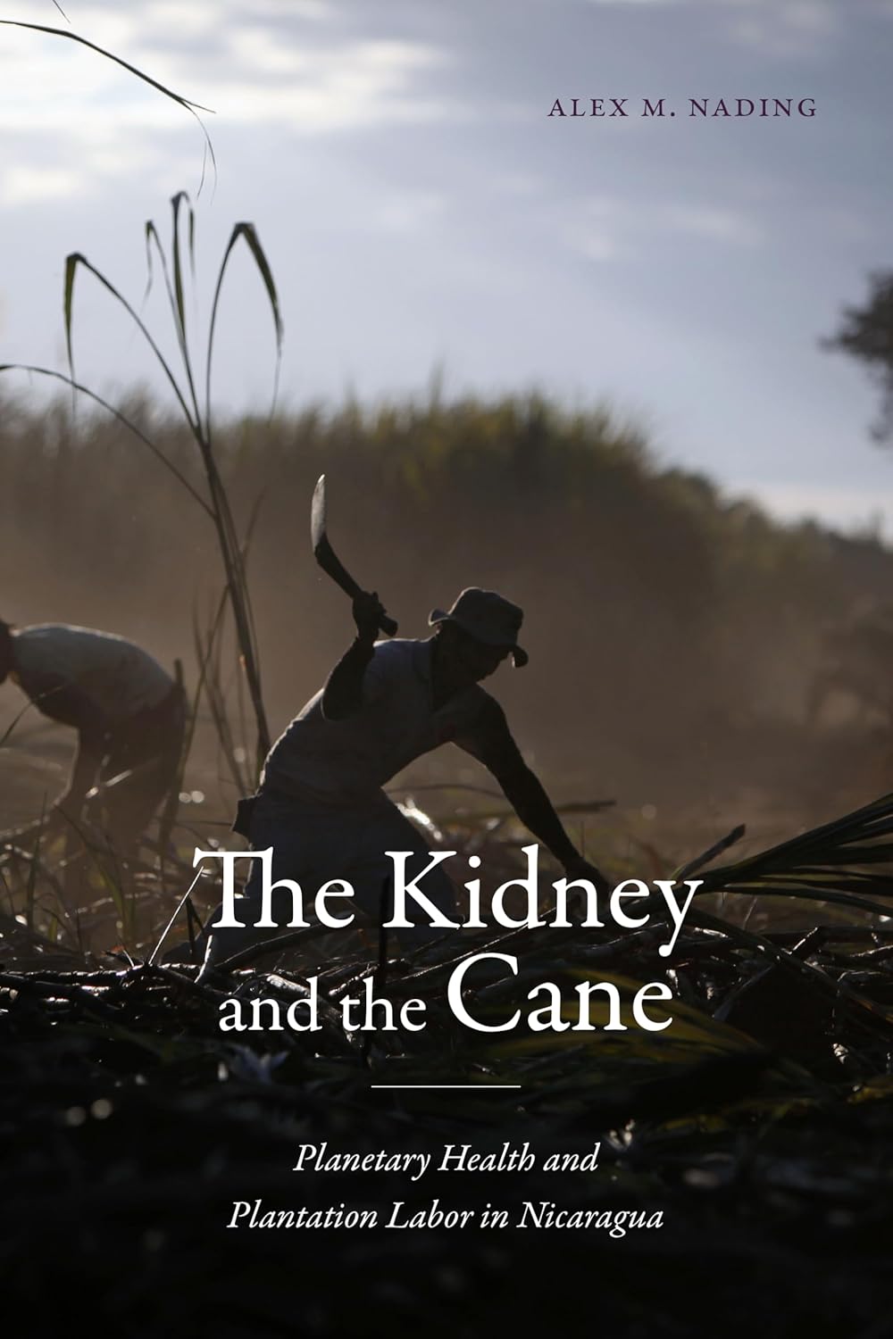 Cover of "The Kidney and the Cane"