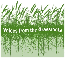 Logo for Voices from the Grassroots commentary